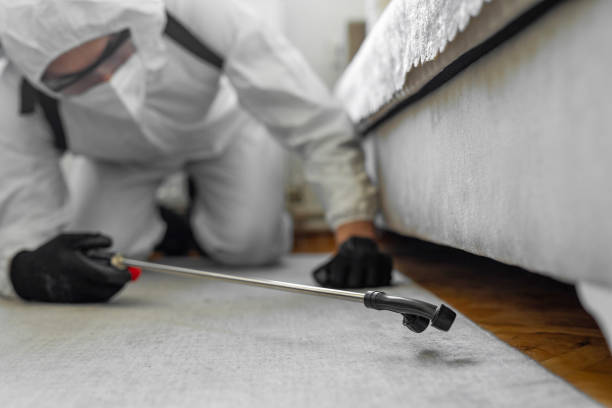 Professional Bed Bug Control technician working in DeKalb, IL