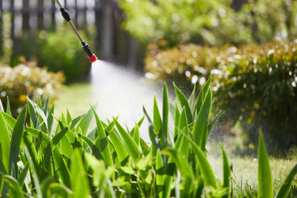 24/7 Emergency Bed Bug Control experts in DeKalb, IL