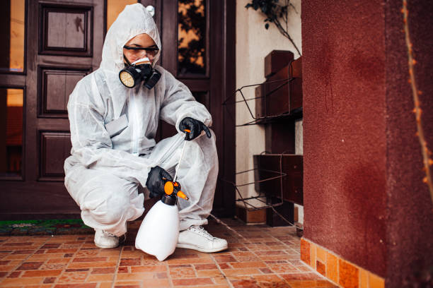 Reliable Bed Bug Control contractor in DeKalb, IL by Nex Pest Control